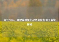 荷兰PUBG，低地国度里的战术竞技与普工薪资探秘