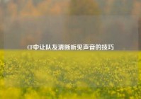 CF中让队友清晰听见声音的技巧