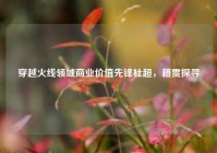 穿越火线领域商业价值先锋杜超，籍贯探寻