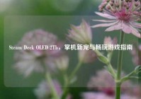 Steam Deck OLED 2Tb，掌机新宠与畅玩游戏指南