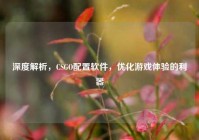 深度解析，CSGO配置软件，优化游戏体验的利器