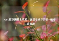 PUBG更改国籍全攻略，各版本操作步骤+核心注意事项