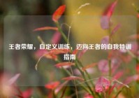 王者荣耀，自定义训练，迈向王者的自我特训指南