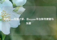 我的Steam充值之旅，在mygame平台探寻便捷与乐趣