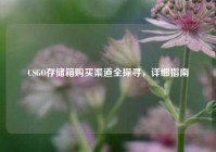 CSGO存储箱购买渠道全探寻，详细指南