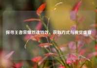 探寻王者荣耀烈魂特效，获取方式与视觉盛宴