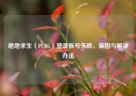 绝地求生（PUBG）登录账号失败，原因与解决办法