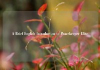 A Brief English Introduction to Peacekeeper Elite