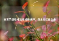 王者荣耀单排法师格局洗牌，新生态崭露头角