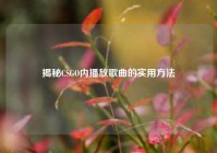 揭秘CSGO内播放歌曲的实用方法