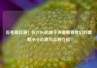 反差萌拉满！在PUBG的跳伞声里藏着我们的葡萄小小心愿与品种介绍