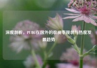 深度剖析，PUBG在国外的收视率现状与热度发展趋势