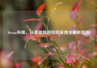 Steam升级，从基础到进阶的实用全解析指南
