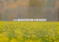 CSGO激战后的归程与游戏回归