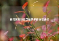 探寻英雄联盟英雄的多样查看途径