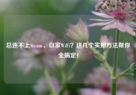 总连不上Steam、自家WiFi？这几个实用方法帮你全搞定！