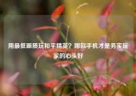 用最低画质玩和平精英？哪款手机才是务实玩家的心头好