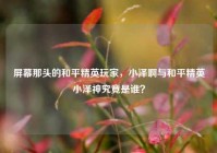 屏幕那头的和平精英玩家，小泽啊与和平精英小泽神究竟是谁？