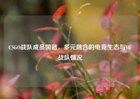 CSGO战队成员国籍，多元融合的电竞生态与VG战队情况