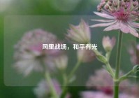风里战场，和平有光