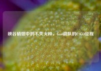 峡谷硝烟中的不灭火种，Gow战队的CSGO征程