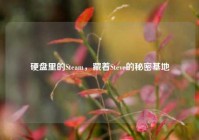 硬盘里的Steam，藏着Steve的秘密基地