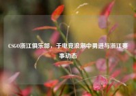 CSGO浙江俱乐部，于电竞浪潮中勇进与浙江赛事动态