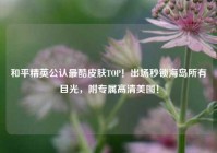 和平精英公认最酷皮肤TOP！出场秒锁海岛所有目光，附专属高清美图！