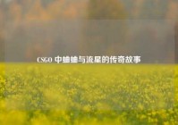 CSGO 中蛐蛐与流星的传奇故事