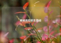 揭秘背后的生意经