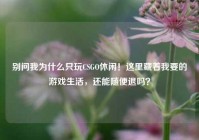 别问我为什么只玩CSGO休闲！这里藏着我要的游戏生活，还能随便退吗？