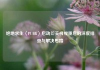 绝地求生（PUBG）启动即关机或重启的深度排查与解决思路