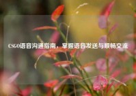 CSGO语音沟通指南，掌握语音发送与顺畅交流
