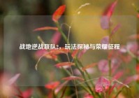 战地逆战联队2，玩法探秘与荣耀征程