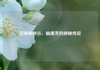 召唤师峡谷，幽魂龙的神秘传说
