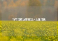 和平精英决赛圈敌人头像精选