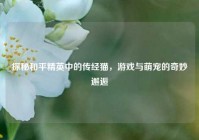 探秘和平精英中的传经猫，游戏与萌宠的奇妙邂逅