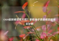 CSGO皮肤掉漆慌不慌？老枪油子讲透成因避坑全补救