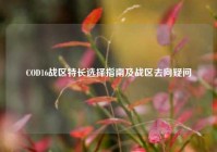 COD16战区特长选择指南及战区去向疑问