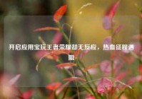 开启应用宝玩王者荣耀却无反应，热血征程遇阻
