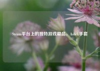 Steam平台上的独特游戏藏品，Ashek手套
