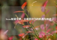 Steam取消令牌，交易变动下的机遇与挑战