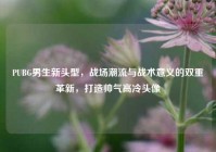 PUBG男生新头型，战场潮流与战术意义的双重革新，打造帅气高冷头像