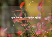 与CSGO Bot队友的奇妙对局体验