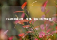 CSGO禁用兼容性，缘由、影响及应对策略