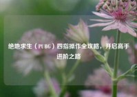 绝地求生（PUBG）四指操作全攻略，开启高手进阶之路