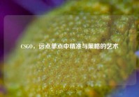 CSGO，远点单点中精准与策略的艺术