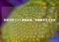 穿越火线（CF）硬盘容量，究竟需多大才合适