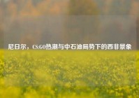 尼日尔，CS:GO热潮与中石油局势下的西非景象