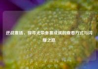 逆战赛场，探寻光荣参赛成就的查看方式与闪耀之路